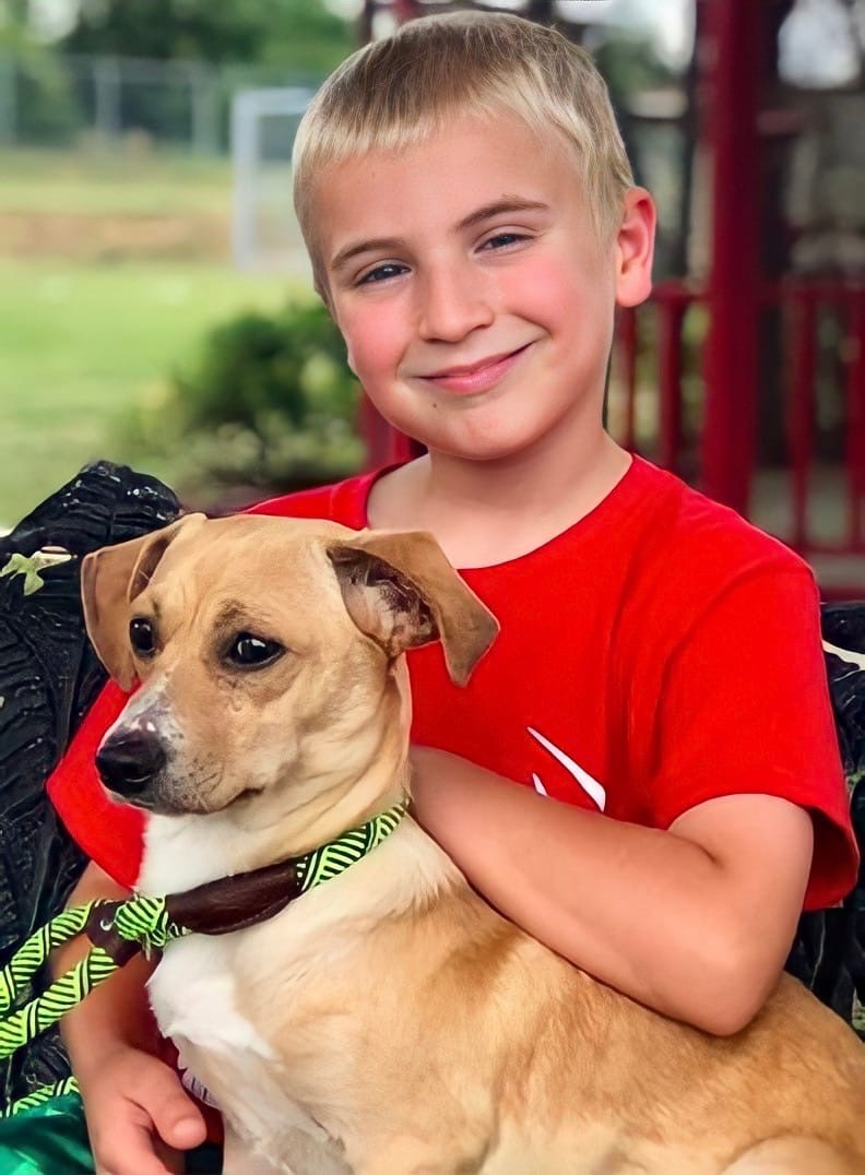 Мальчик, которому только исполнилось 10 лет спас уже 5 тысяч собак!!