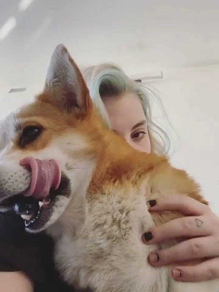 Юлик рассказал о том, почему отдали Бима