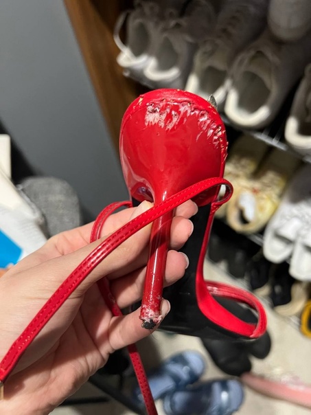 Псина Саши Стоуна погрызла дорогущие босоножки Вали