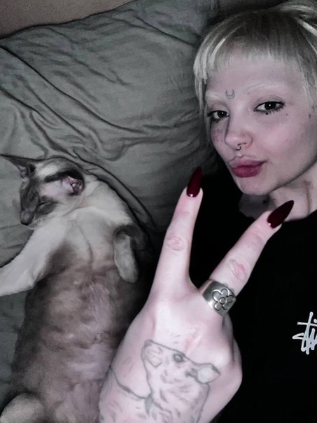 Каплан посадила кошку на диету