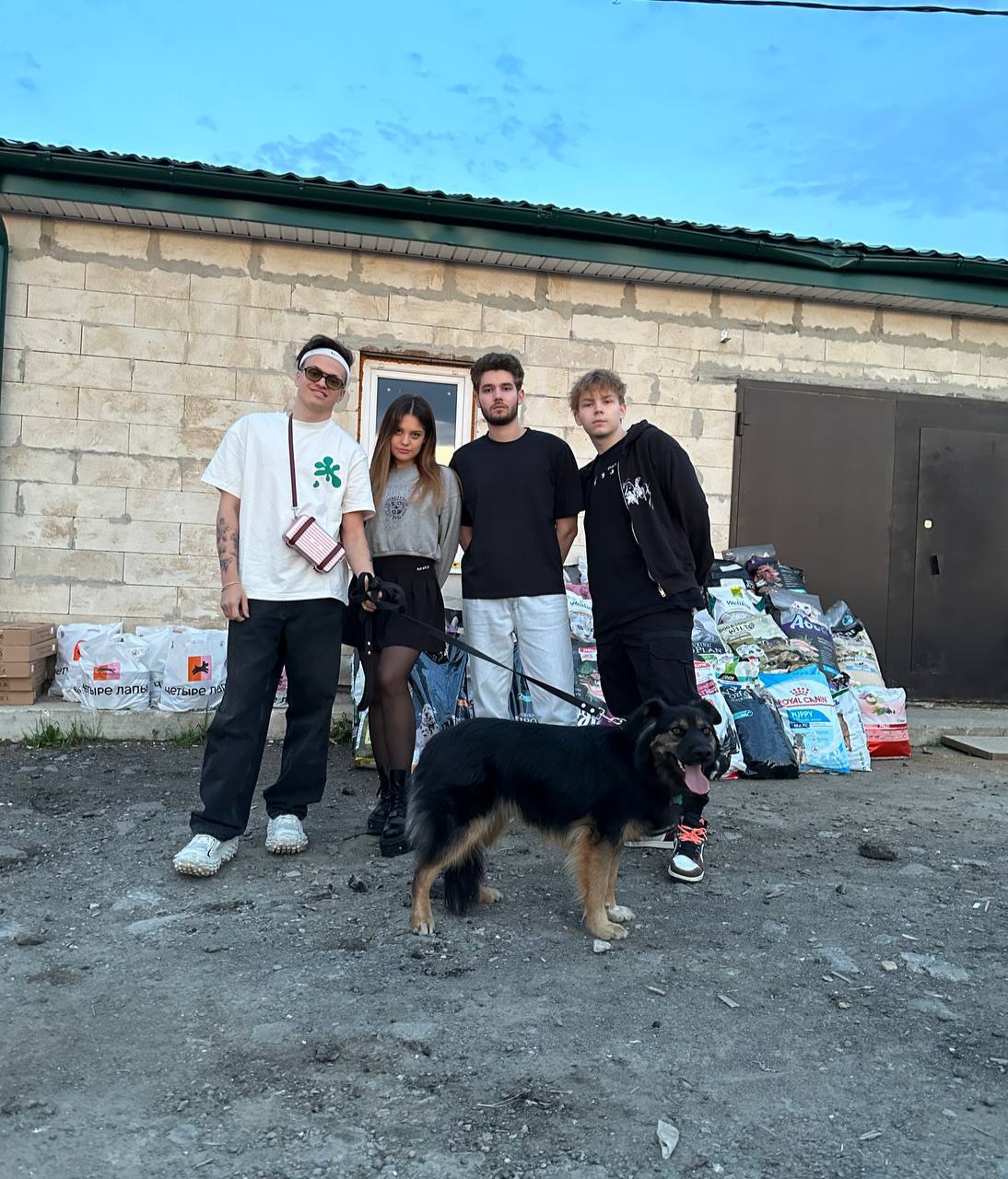 Известные стримеры помогают зверюшкам!