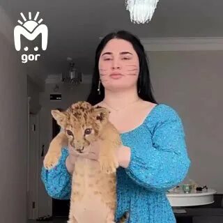 Кадр из новости Скандальной блогерше захотелось завести маленького львёнка