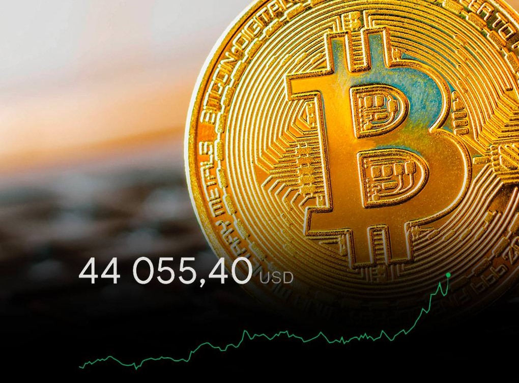 Глава ЦБ Турции не смогла позволить себе жильё в Стамбуле.