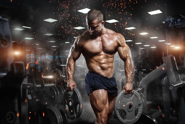 Силовой тренинг: руководство для начинающих