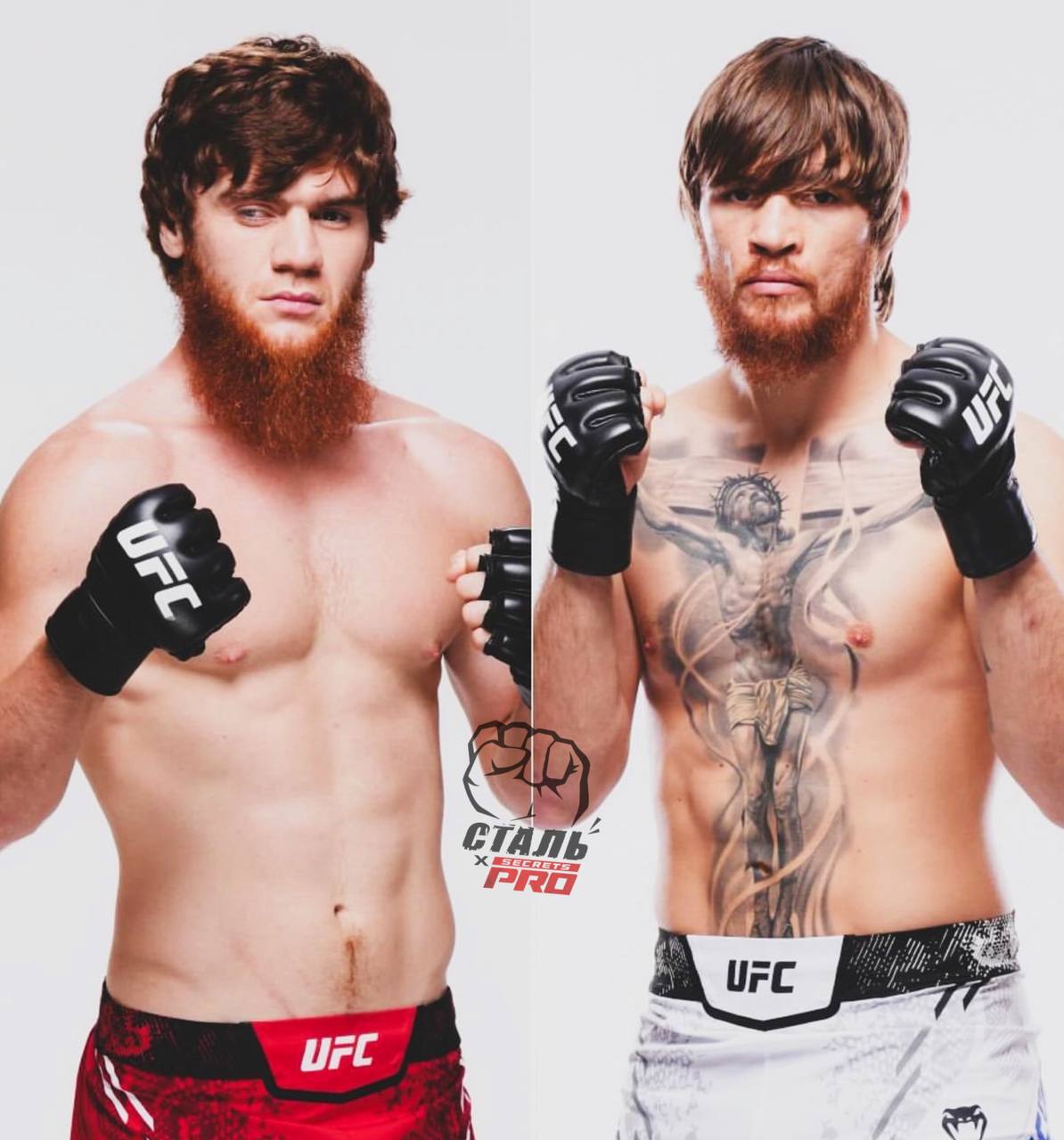 Бой Шары Буллета и украинца Игоря Потери на UFC состоится