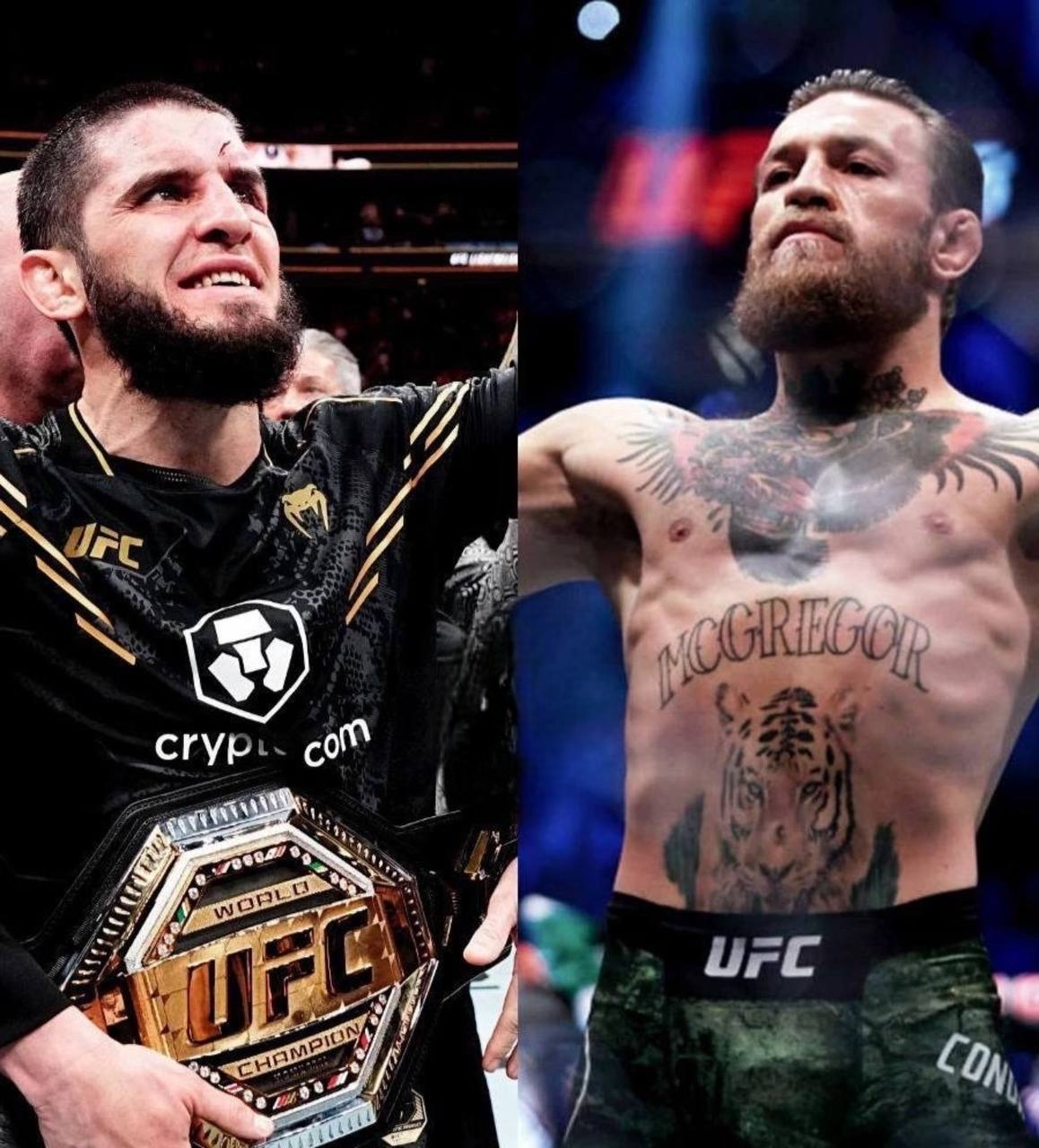 Али Абдель-Азиз про бой Махачева  с Макгрегором