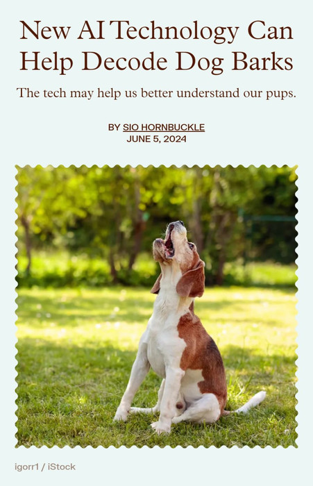 Нейросети научилась понимать собак