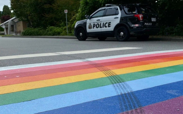 Трем пацанам грозит 10 лет тюрьмы за порчу флага ЛГБТ*