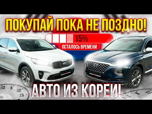 АВТО ИЗ КОРЕИ❗️ЧТО БУДЕТ ДАЛЬШЕ❓ Эфир от 26.07.23